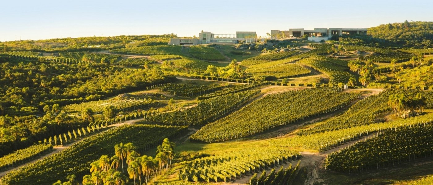 Best wine tours in Maldonado Uruguay - Wine Paths
